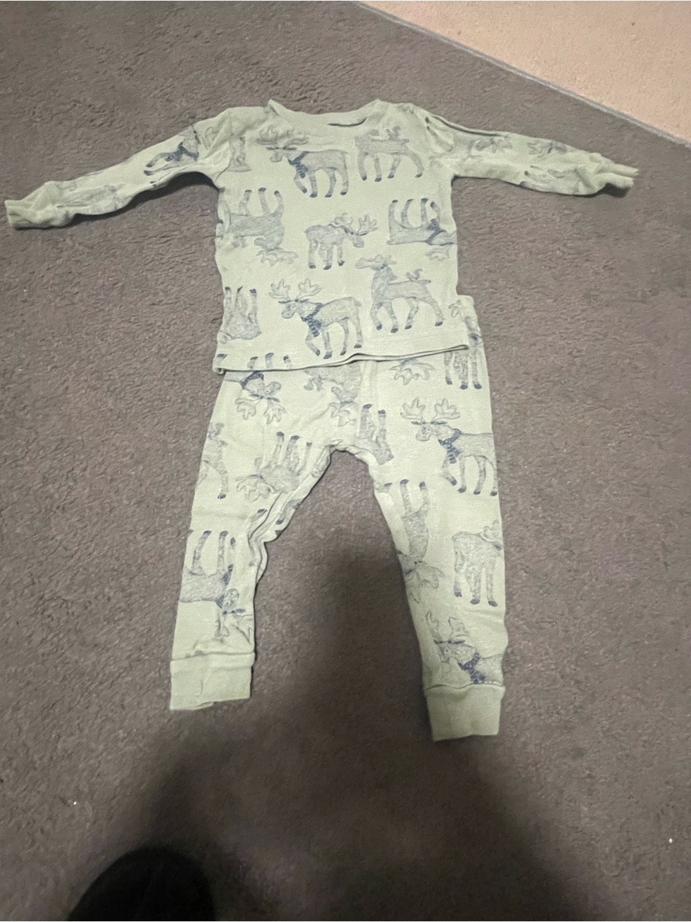 Kids Moose Print Pajama Set - Light Green
